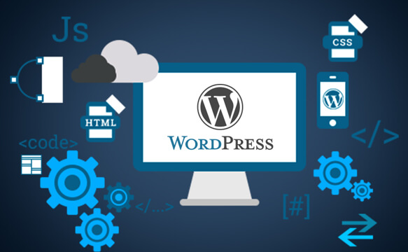 Wordpress Web development company
